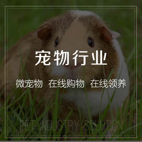 蚌埠宠物