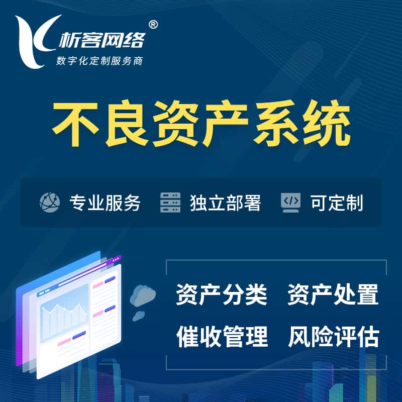 蚌埠不良资产管理系统